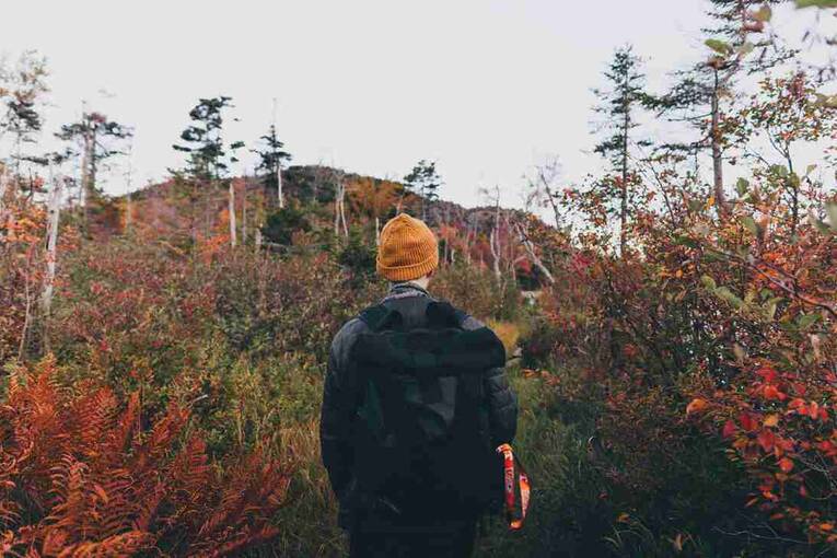 polo衫和t恤衫有什么区别 POLO衫与T恤有什么区别说详细一点